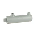 Kettős működésű hidraulikus munkahenger 40/22, lökethossz: 100mm, rögzítés nélküli standard